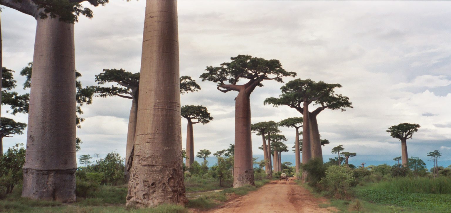 Madagascar landmark